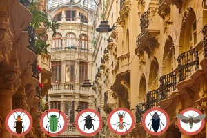 Pasaje Lodares de Albacete con iconos de Plagas en Albacete