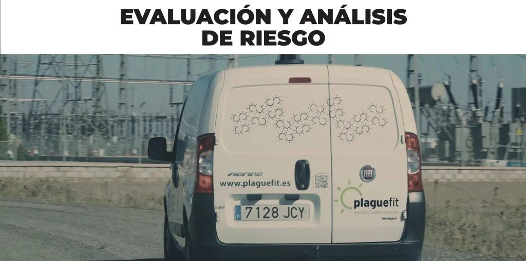 Realizar un análisis de las mejores empresas de Control de Plagas es fundamental
