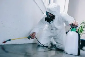 Personal de fumigación de Plaguefit