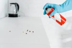 fumigando cucarachas